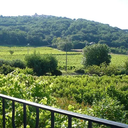 Hébergement de vacances Le Olivier A Gassin